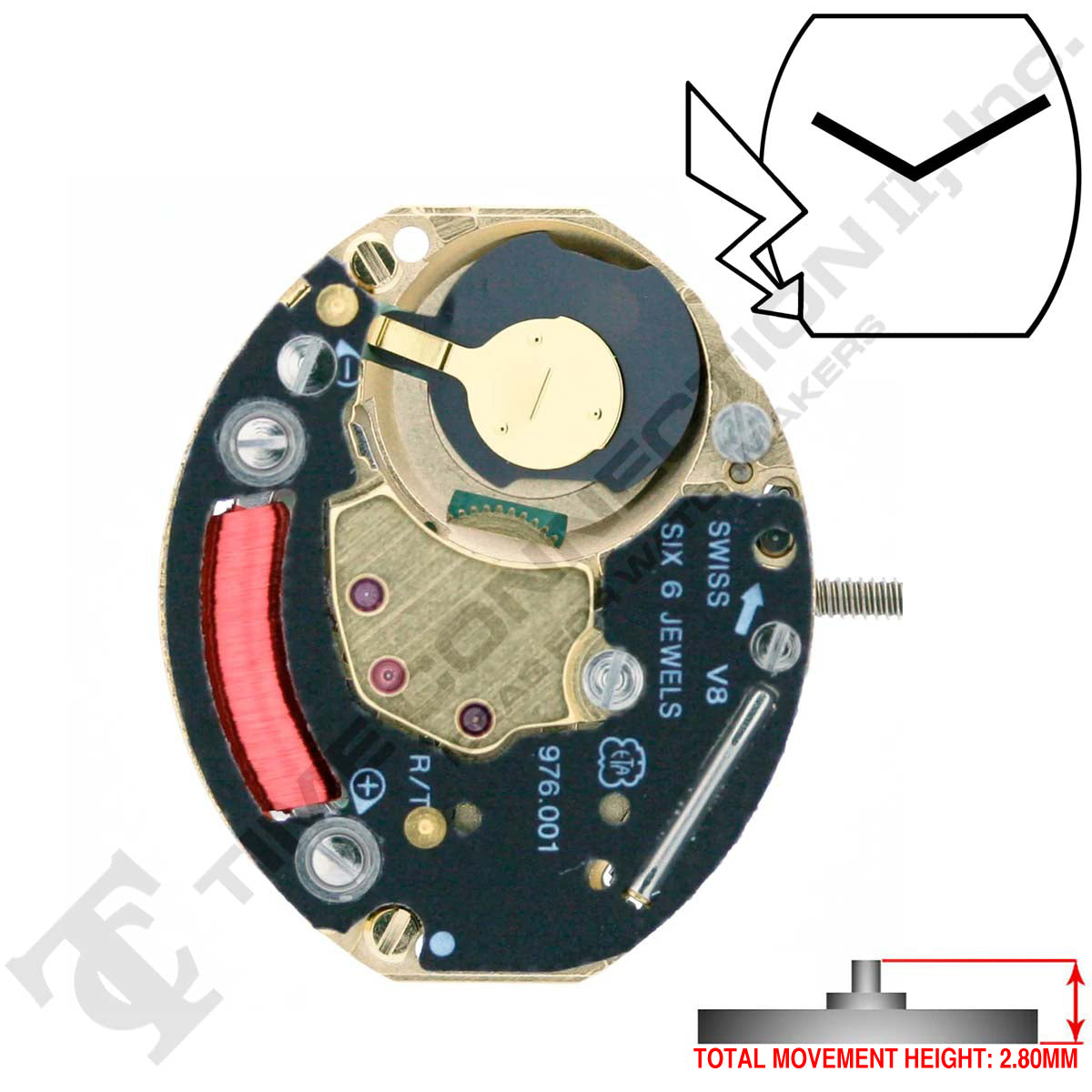 ETA 976.001 2 Hands Swiss Made Quartz Movement (Various Heights)