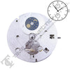 Chinese DG3806-D Automatic Movement
