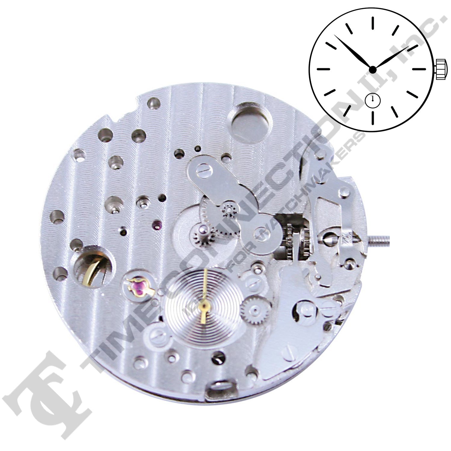 Chinese DG3806-B Automatic Movement