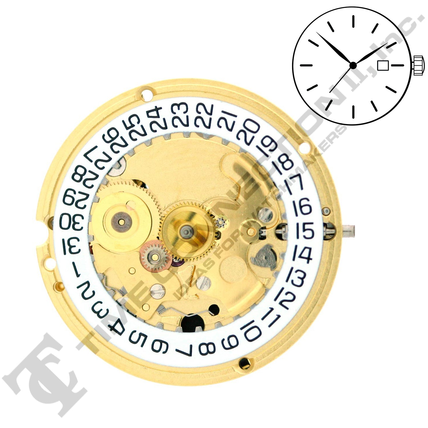 ETA 256.513 3 Hands Swiss Made Movement Ht.