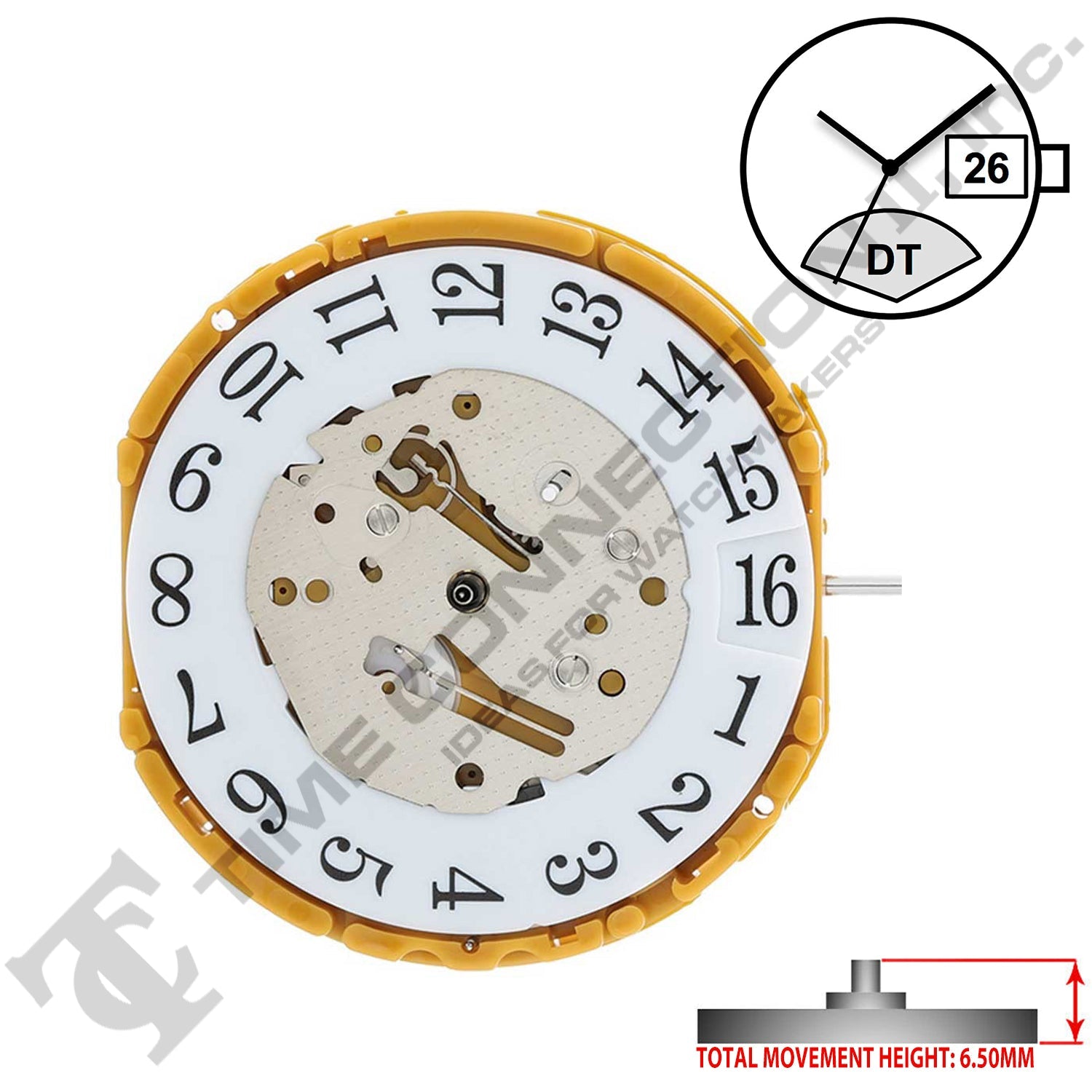 Miyota/Citizen LTD GP01 3 Hands Japan Quartz Movement Ht. 6.50MM