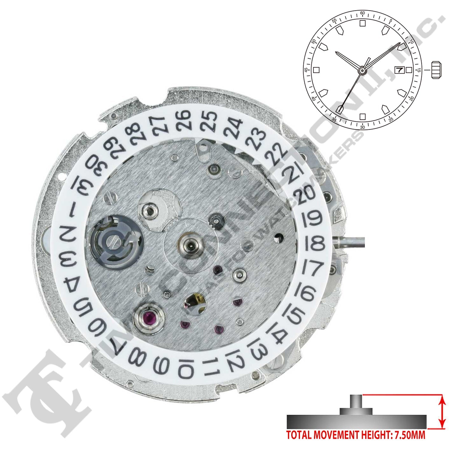 Miyota/Citizen LTD 821A Japan Automatic Movement Ht. 7.5MM