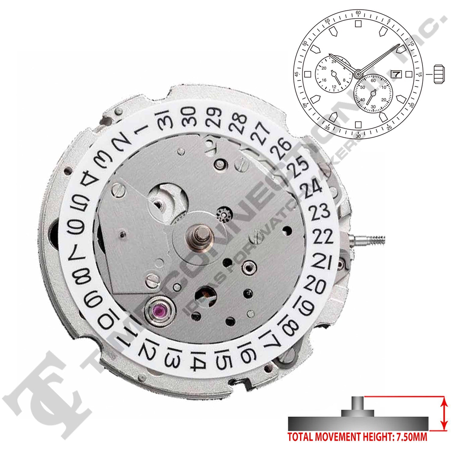 Miyota/Citizen LTD 8219 Japan Automatic Movement Ht. 7.5MM