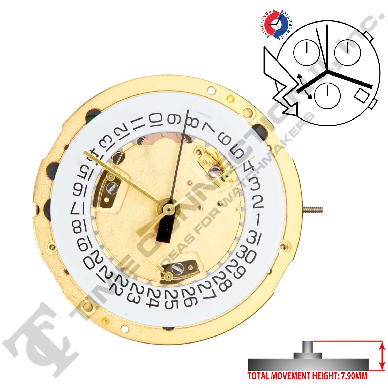 ETA 251.264 4 Hands Swiss Made Quartz Movement Ht. 7.90MM (Various Dates)