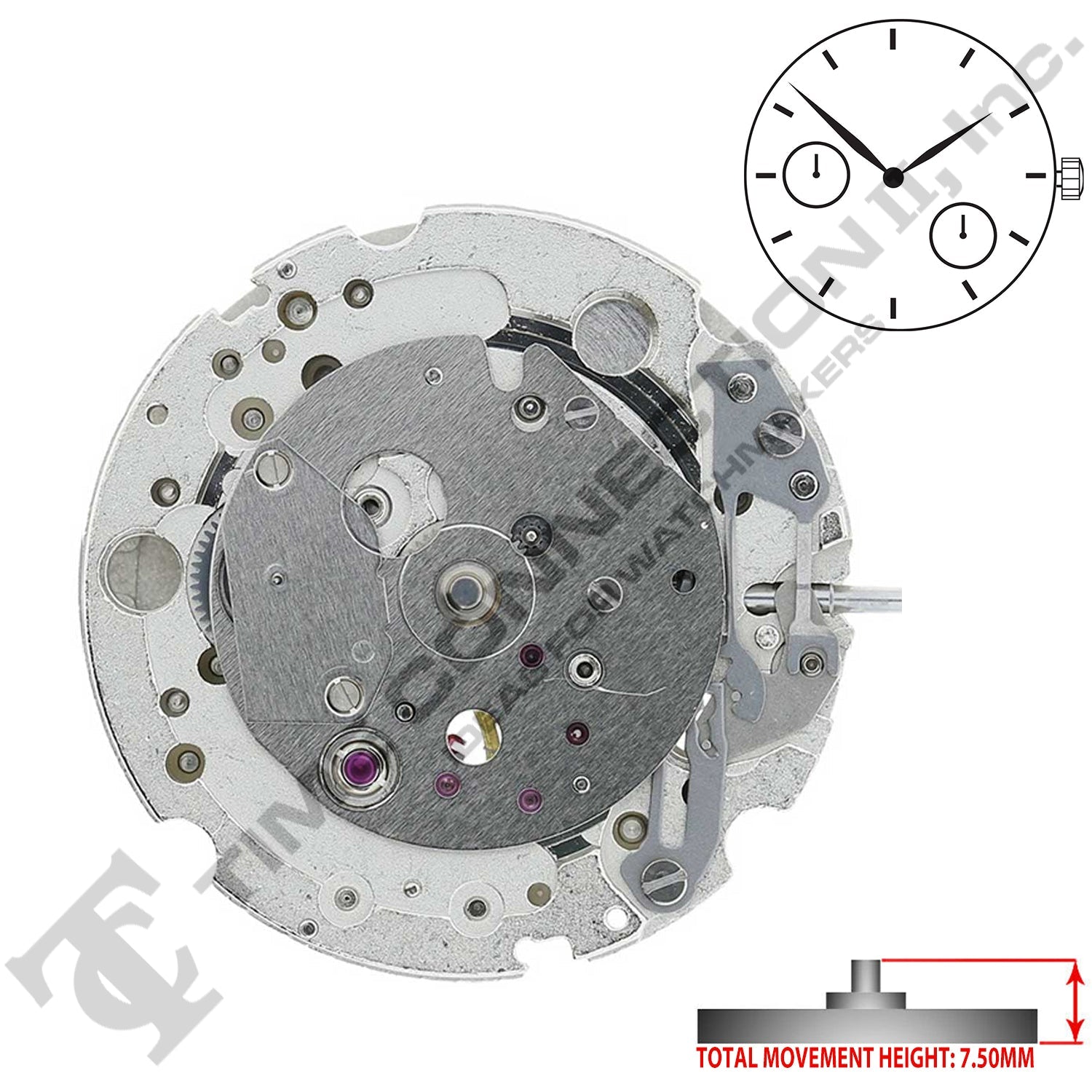 Miyota/Citizen LTD 8247 Japan Automatic Movement Ht. 7.5MM