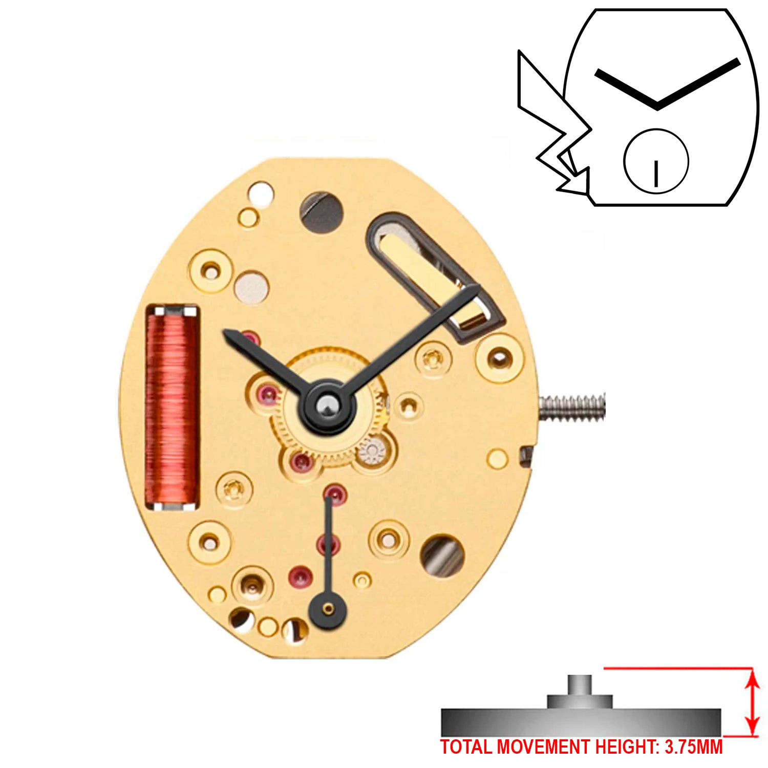 ETA 980.163 2 Hands Swiss Made Quartz Movement (Various Heights)